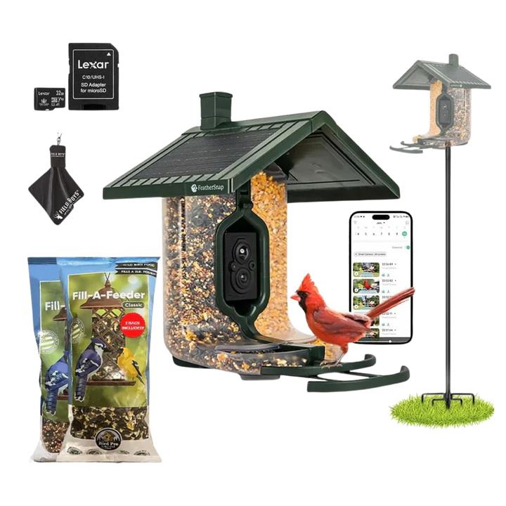 Bird Feeders