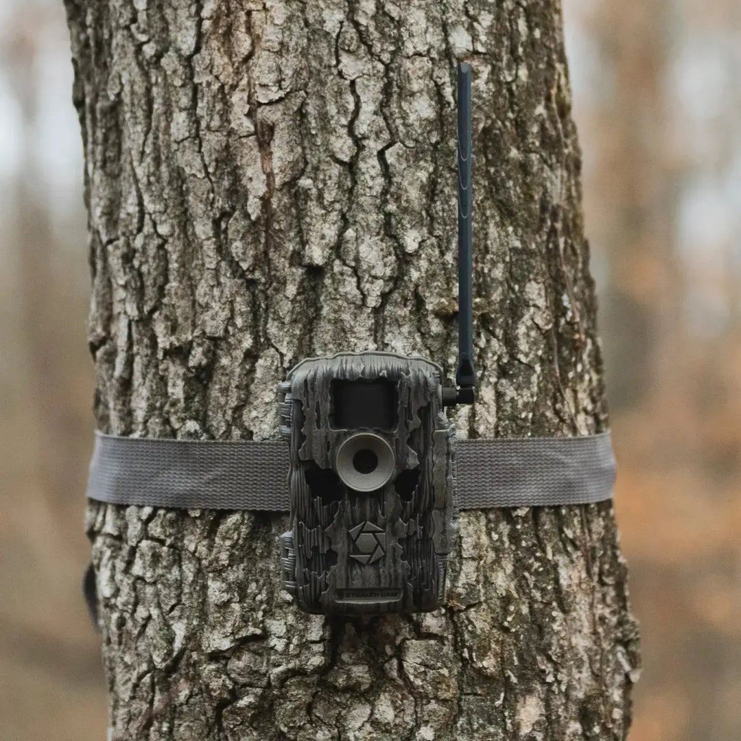 Stealth Cam Fusion™ Max Trail Camera & Solar Battery Combo