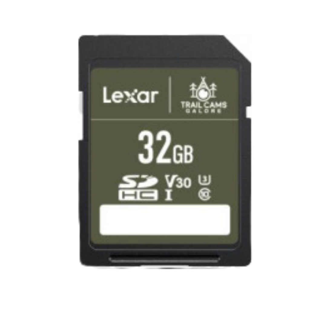 Lexar High-Performance SD Card Fast Reliable Storage for Photos & Videos