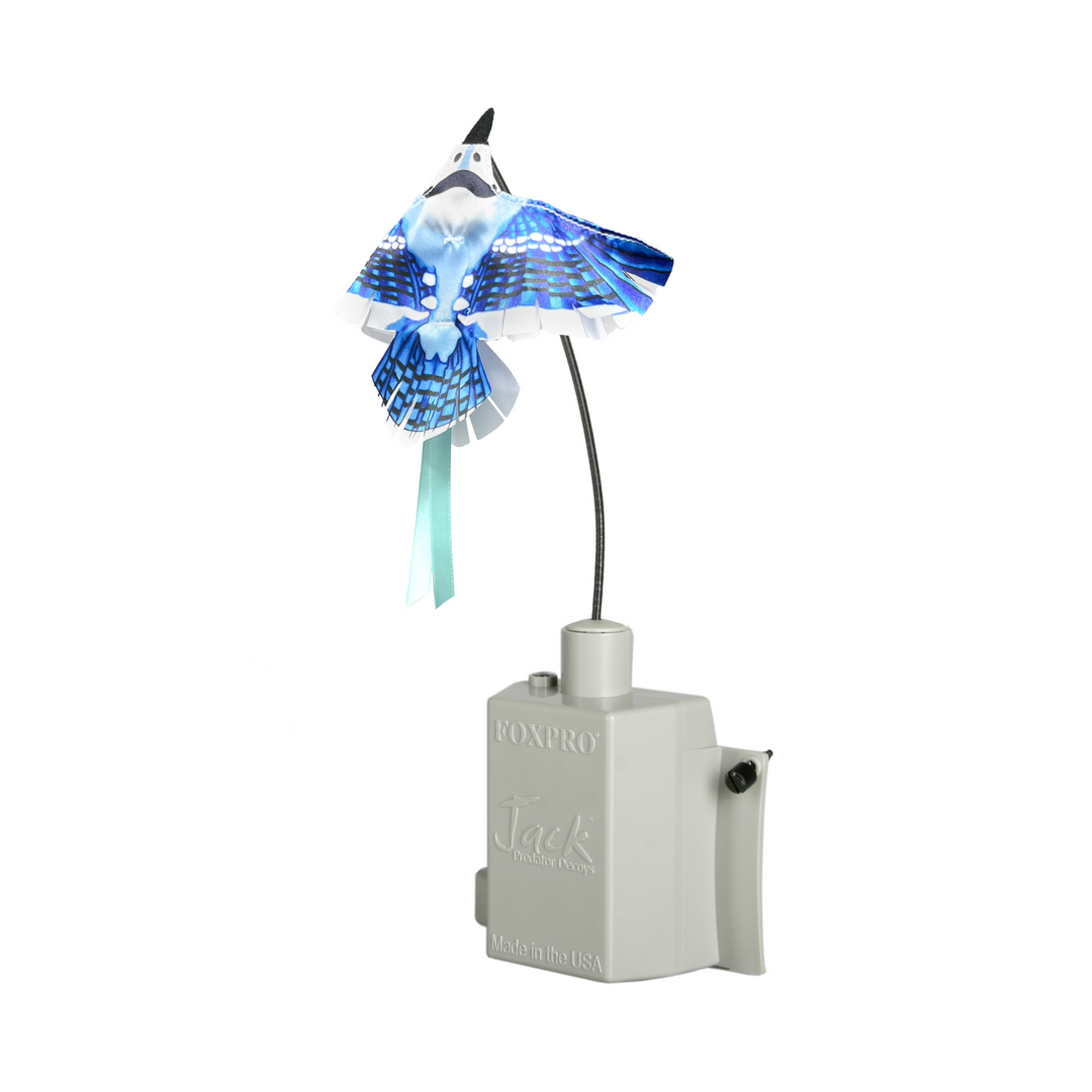 FOXPRO FoxJack 3 with Blue Jay Topper for Coyote Hunting