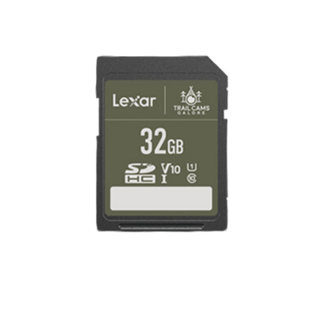 Lexar High-Performance SD Card Fast Reliable Storage for Photos & Videos