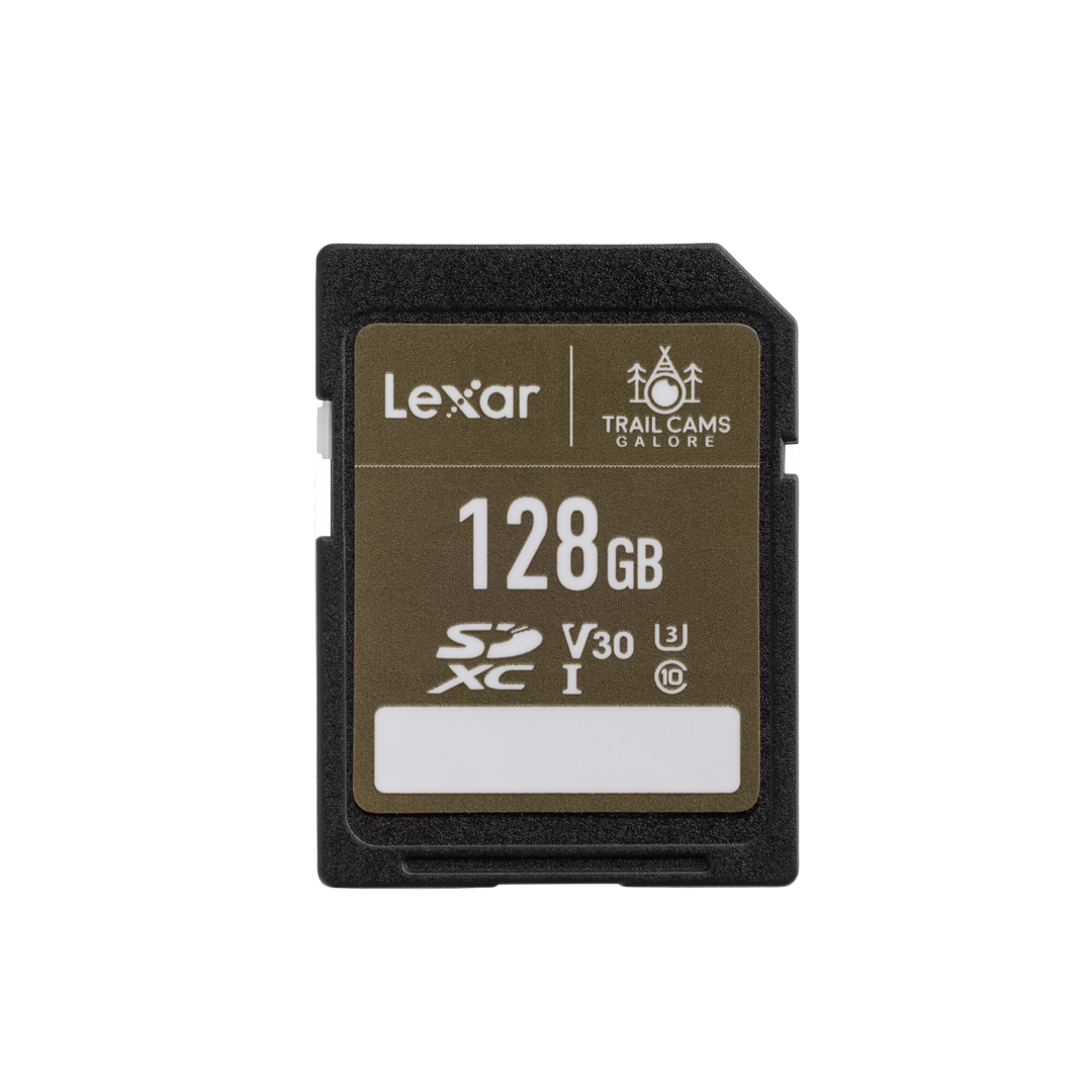 Lexar High-Performance SD Card Fast Reliable Storage for Photos & Videos