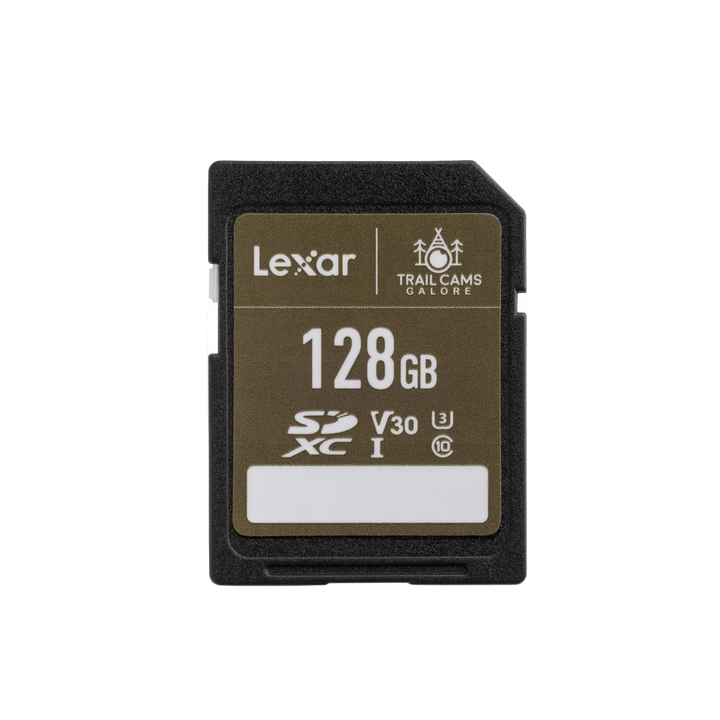 Lexar High-Performance SD Card Fast Reliable Storage for Photos & Videos