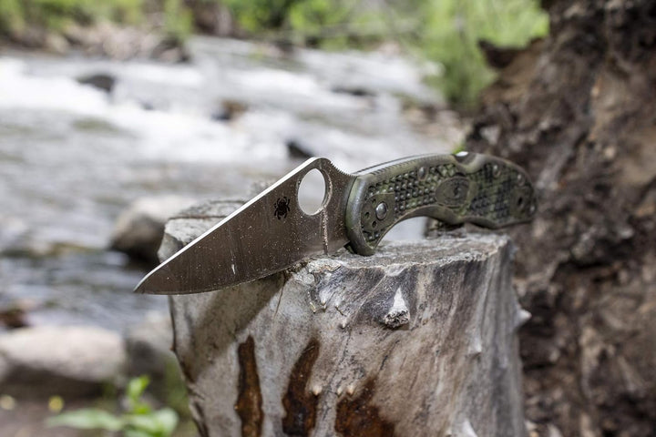 Spyderco Delica 4 Signature Folding Knife 2.95VG-10 Steel Blade Stainless Steel Handle