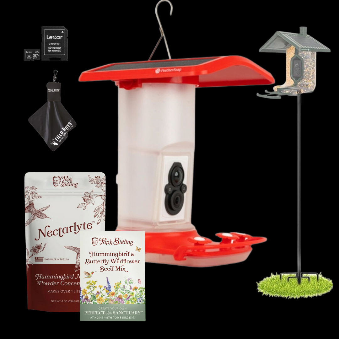 FeatherSnap Smart Hummingbird Feeder Bundle with Sturdy Pole, Nectar Powder, Wildflower Seed Mix, SD Card and Cleaning Cloth