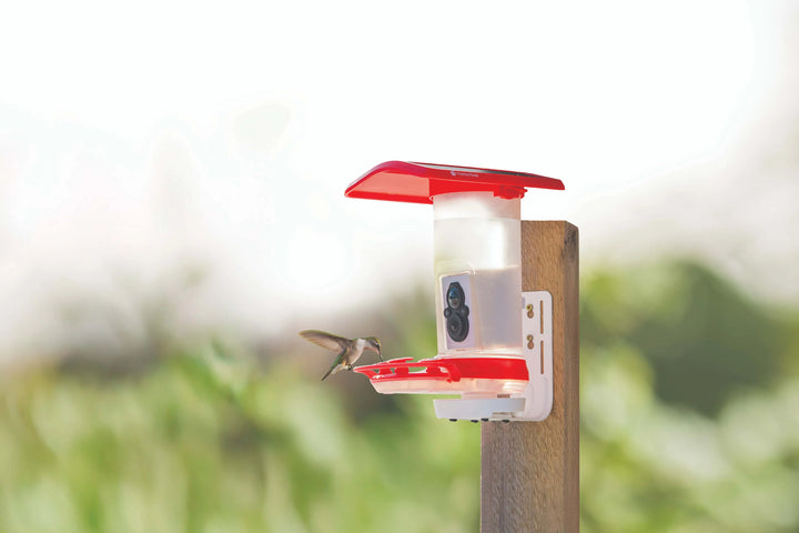 FeatherSnap Smart Hummingbird Feeder