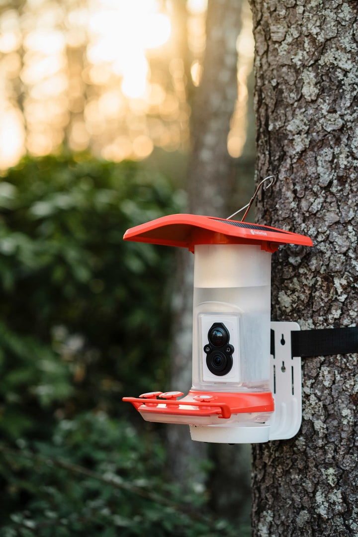 FeatherSnap Smart Hummingbird Feeder