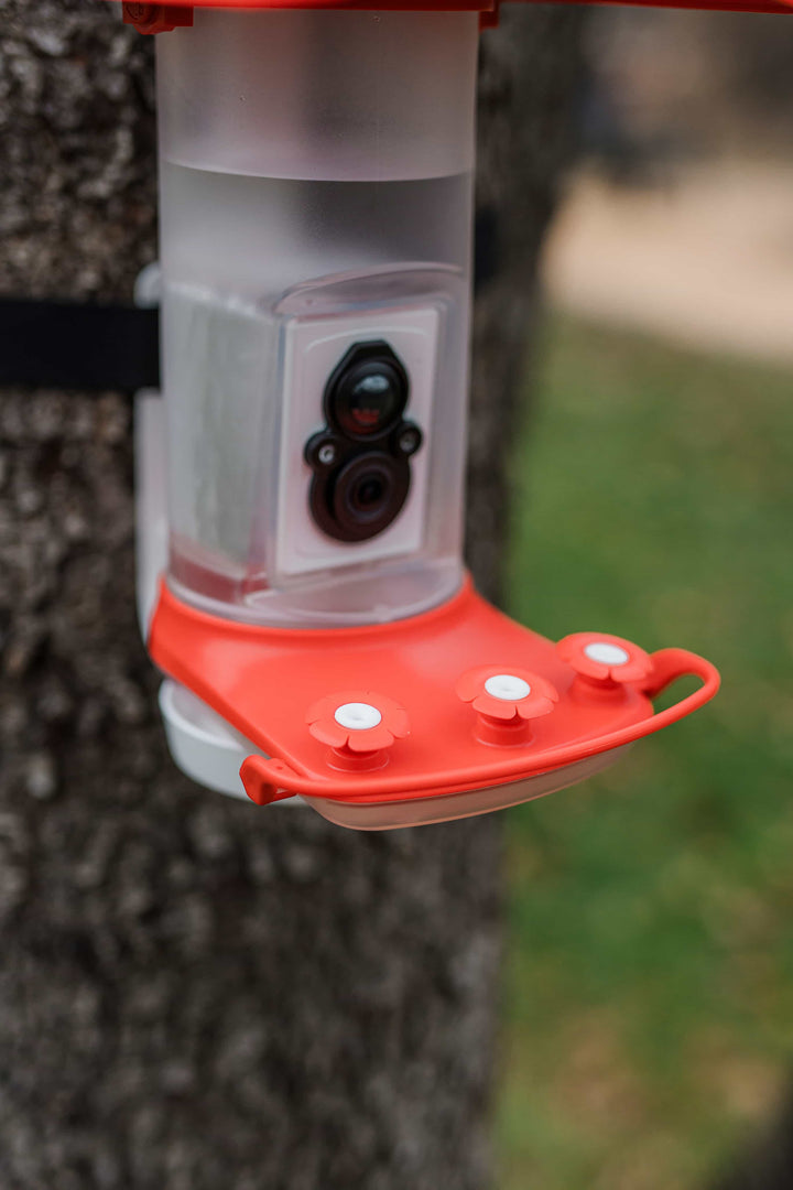 FeatherSnap Smart Hummingbird Feeder