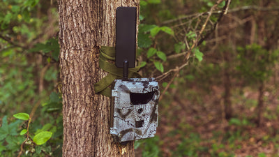 SPARTAN TRAIL CAMERAS LEADS THE WAY