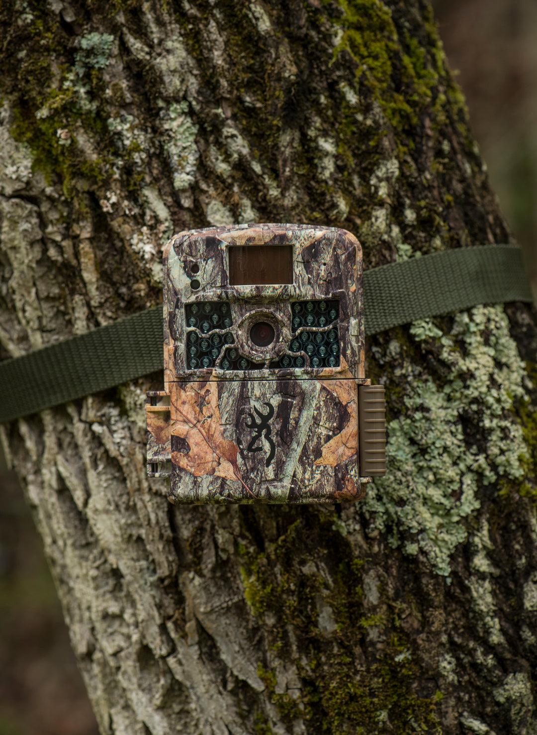 BROWNING TRAIL CAMERAS - TRUSTED FOR A REASON!