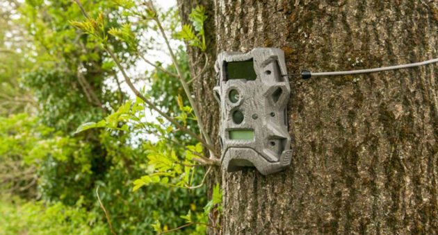 Cellular Trail Cameras