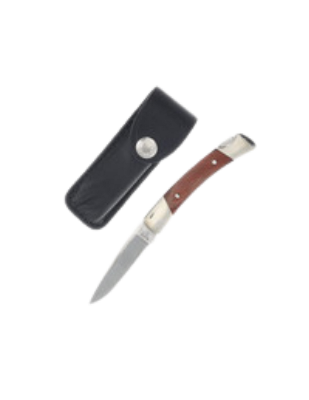 Buck Knives 501 Squire Lockback Folding Pocket Knife