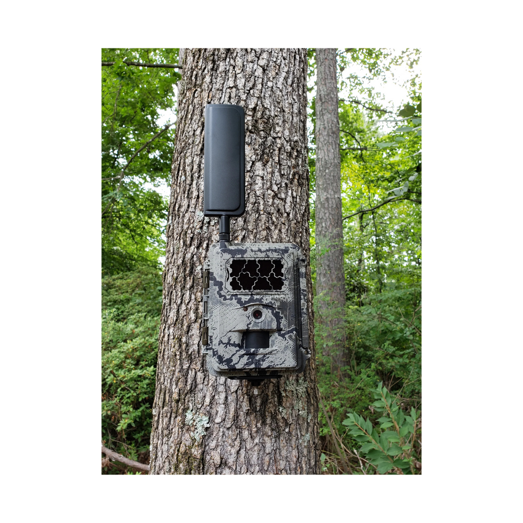 BUY 2 and SAVE! Spartan GoCam 4G/LTE Cellular Trail Cameras