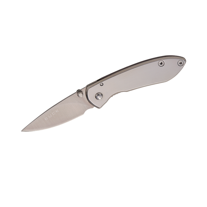 Buck Knives 325 Colleague Frame Lock Folding Knife 1.875" Satin Clip Point Blade