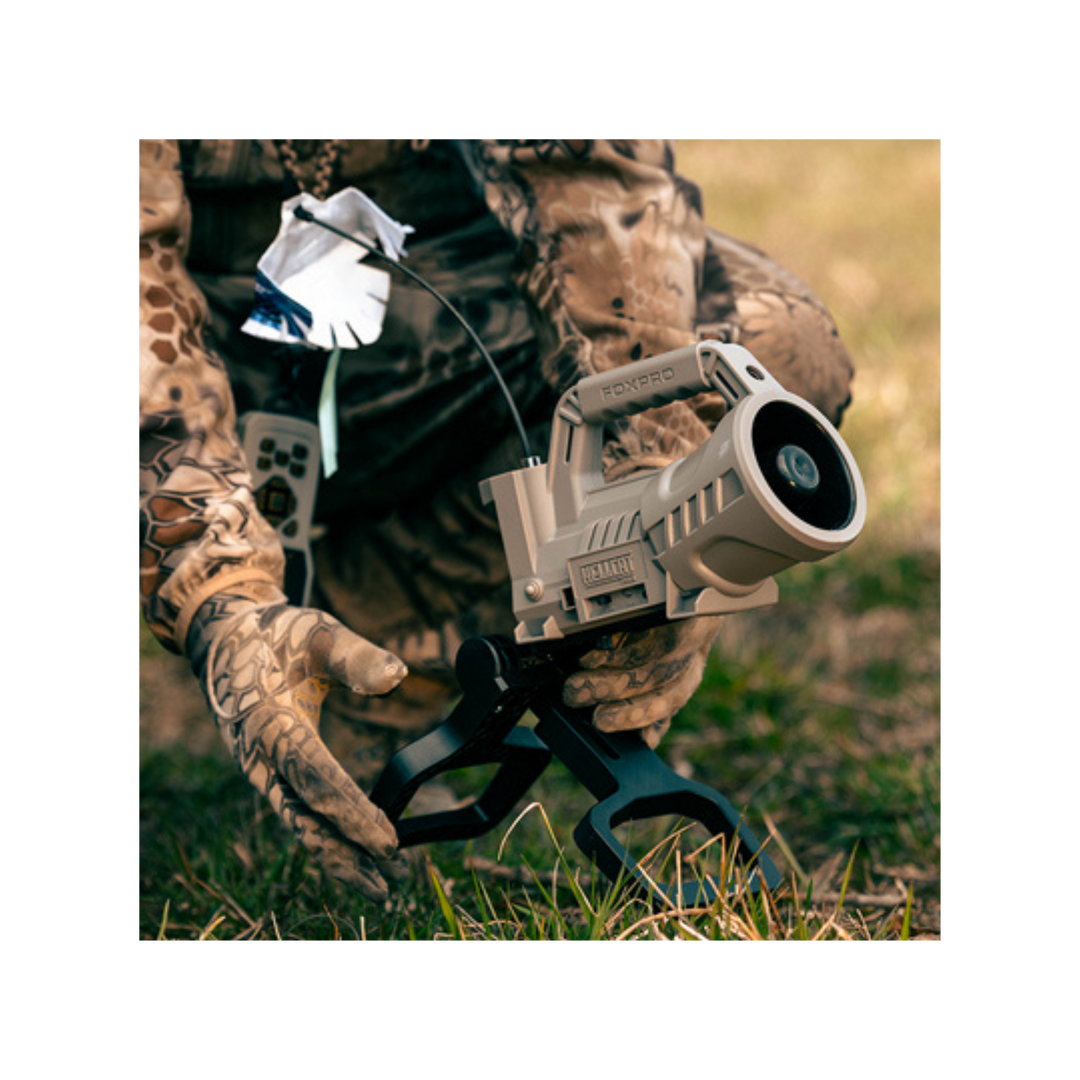 FOXPRO-HandleStand