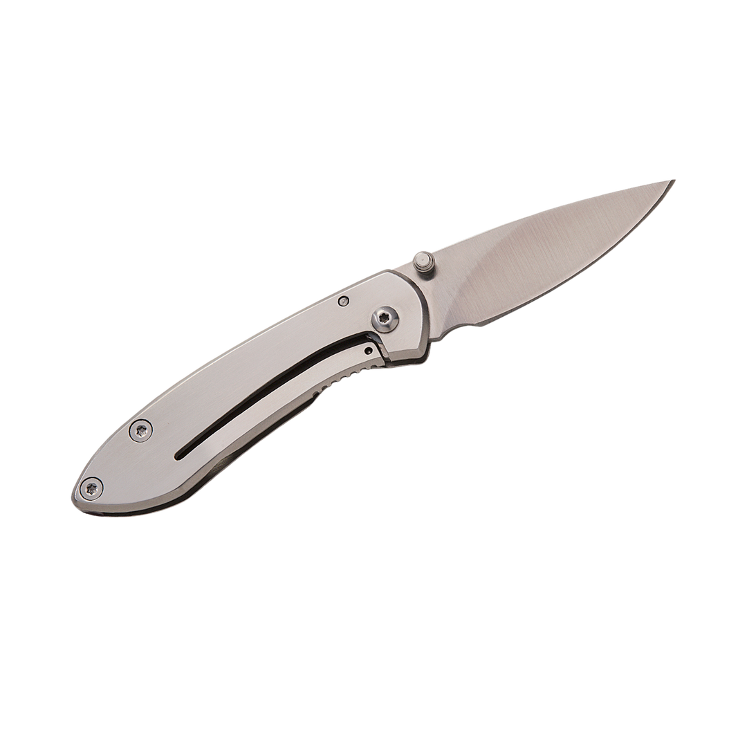 Buck Knives 325 Colleague Frame Lock Folding Knife 1.875" Satin Clip Point Blade
