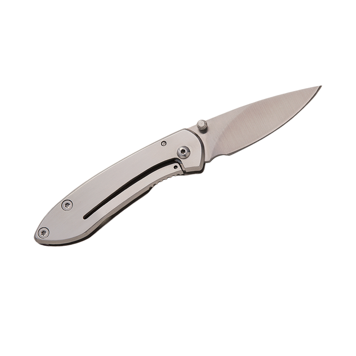 Buck Knives 325 Colleague Frame Lock Folding Knife 1.875" Satin Clip Point Blade
