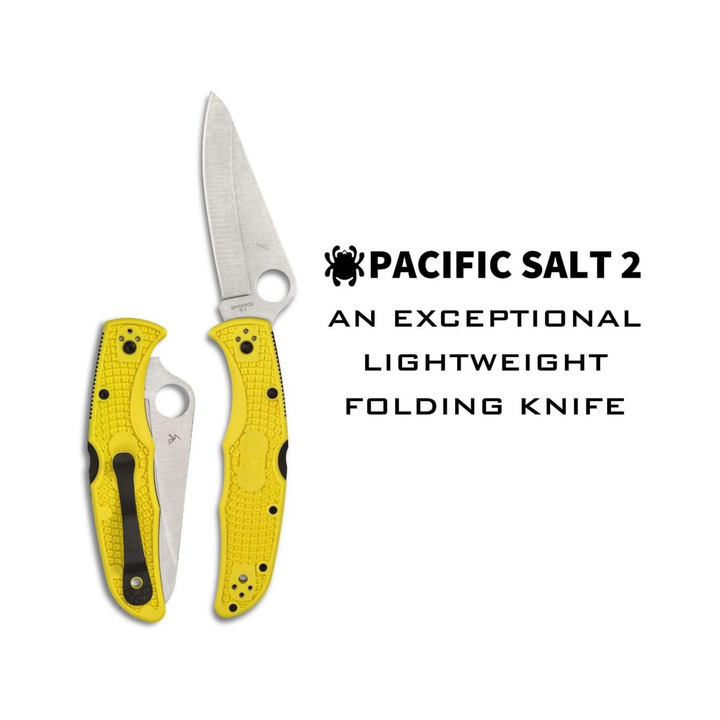 Spyderco Pacific Salt 2 Lightweight Knife 3.78 Corrosion Resistant H-1 Steel Blade Non-Slip Black FRN Handle