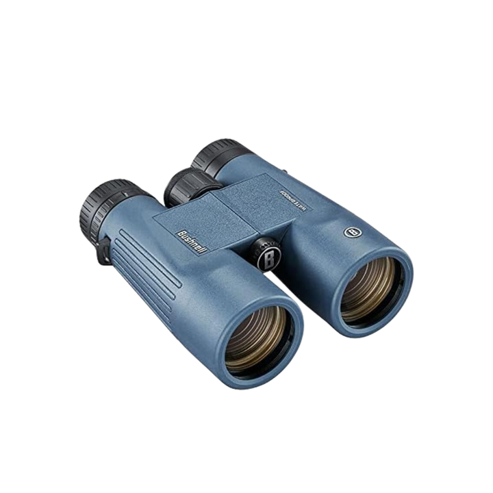 Bushnell Explorer 10x42 Waterproof Roof Prism Binoculars Lightweight, Fog Proof, Compact Design