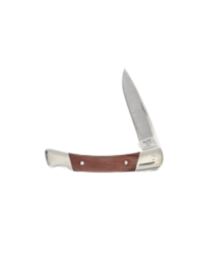 Buck Knives 501 Squire Lockback Folding Pocket Knife