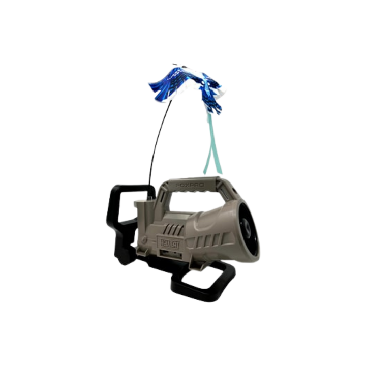 FOXPRO-HandleStand