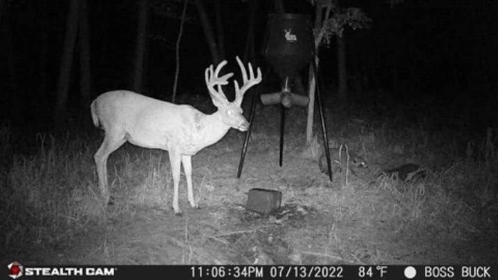 GMAX VISION TRAIL CAMERA