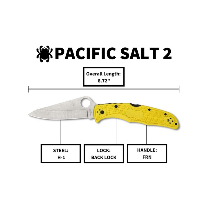 Spyderco Pacific Salt 2 Lightweight Knife 3.78 Corrosion Resistant H-1 Steel Blade Non-Slip Black FRN Handle