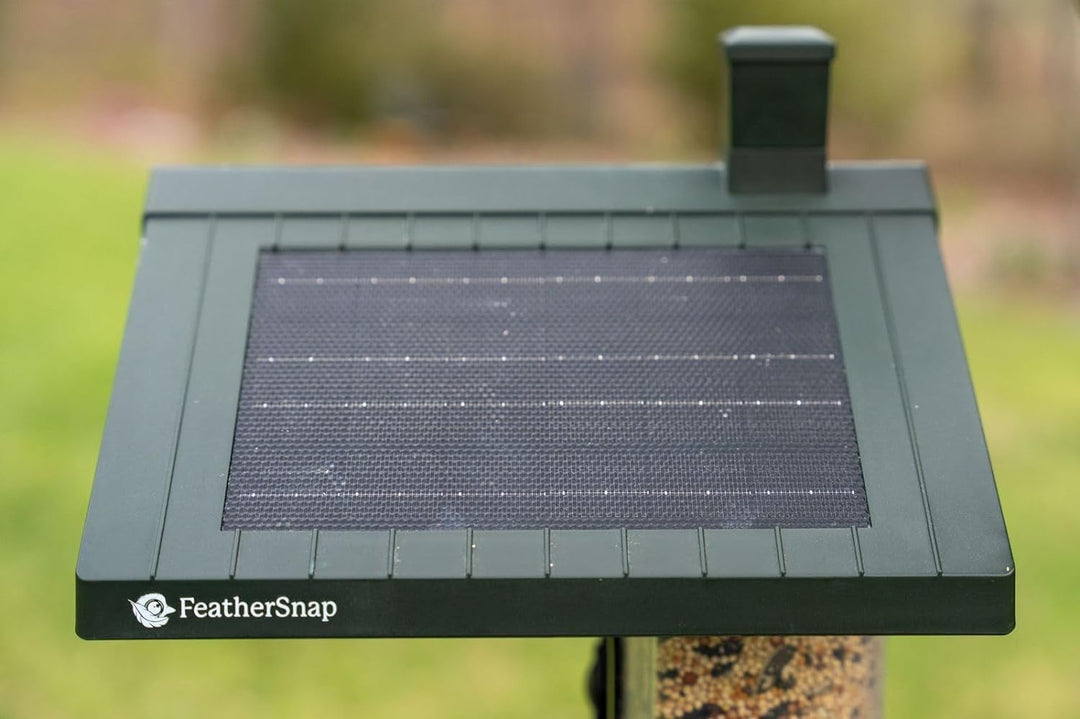 FeatherSnap Scout Wi-Fi Solar Powered Smart Bird Feeder