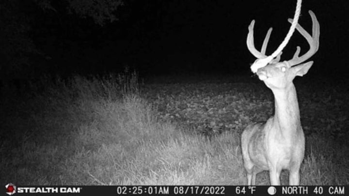 GMAX VISION TRAIL CAMERA