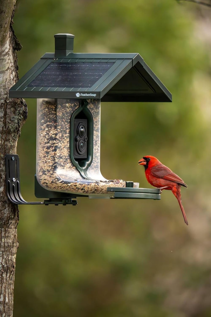 Smart Birdfeeder with AI Identification and Wi-Fi - Solar Powered (Bird Feeder & Starter Kit)