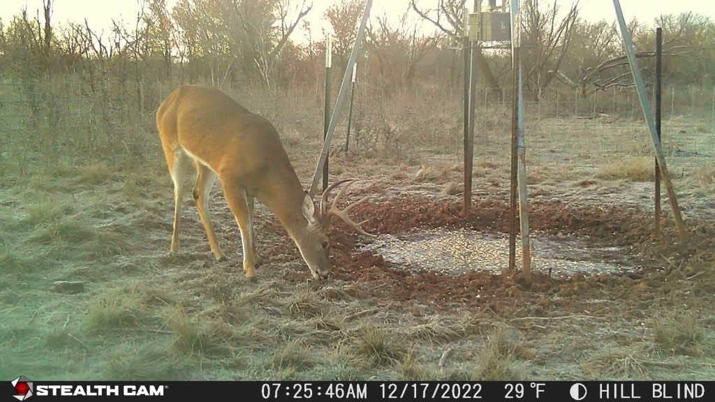 GMAX VISION TRAIL CAMERA