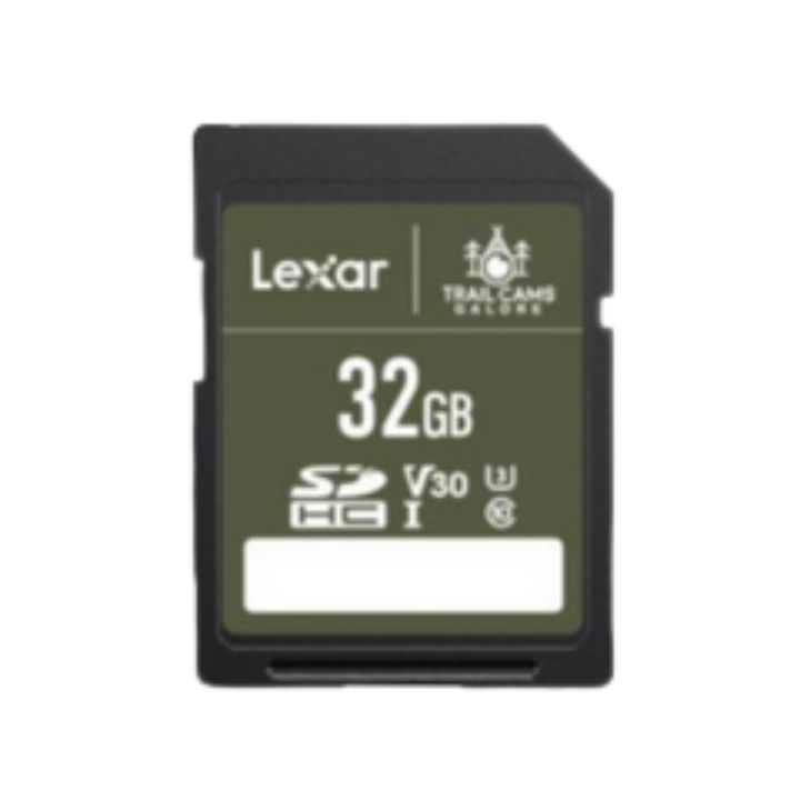 Lexar High-Performance SD Card Fast Reliable Storage for Photos &amp; Videos
