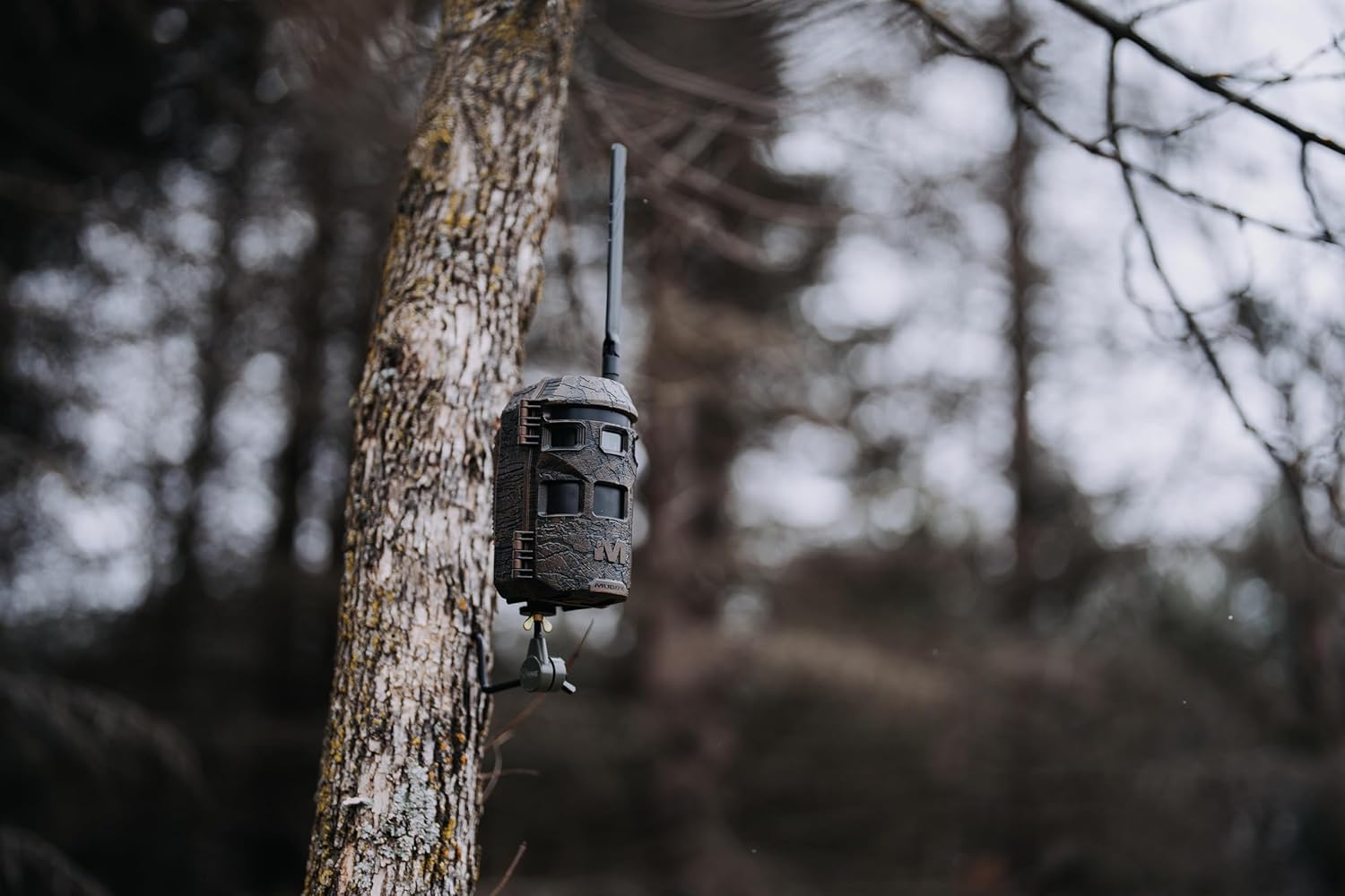 Muddy Trifecta 180 Cellular Trail Camera – Freedom USA Sales