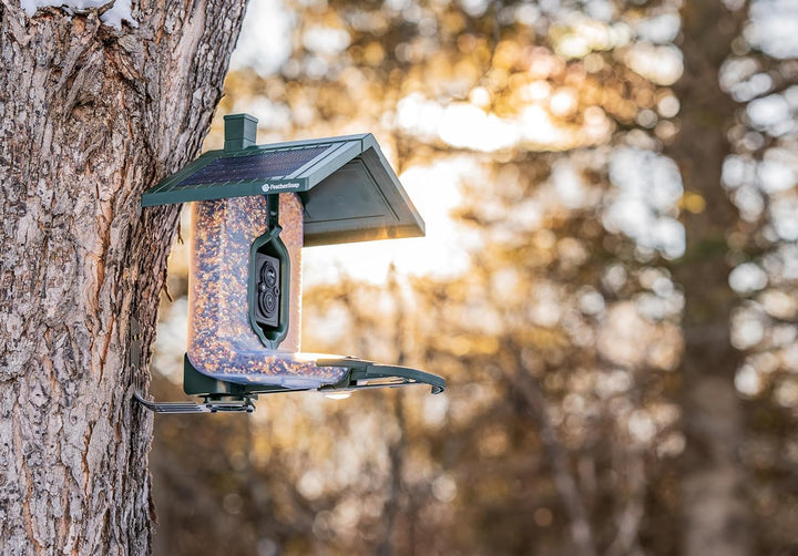 Smart Birdfeeder with AI Identification and Wi-Fi - Solar Powered (Bird Feeder & Starter Kit)