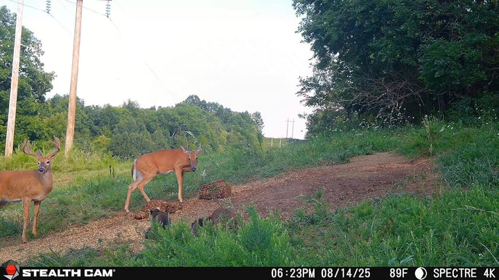 Stealth Cam Spectre 4K Dual-Core Cellular Trail Camera