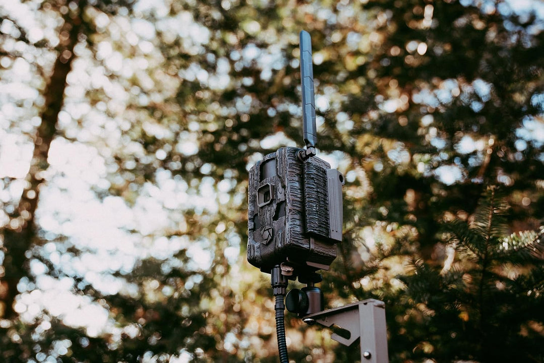 Stealth Cam Fusion MAX 2.0 Cellular Trail Camera in the field