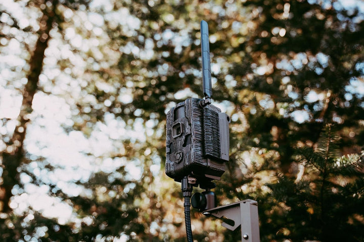 Stealth Cam Fusion MAX 2.0 Cellular Trail Camera in the field
