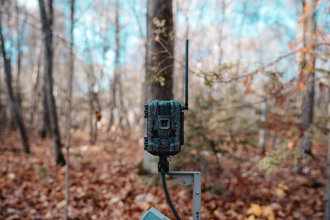 Stealth Cam Fusion MAX 2.0 Cellular Trail Camera in the field