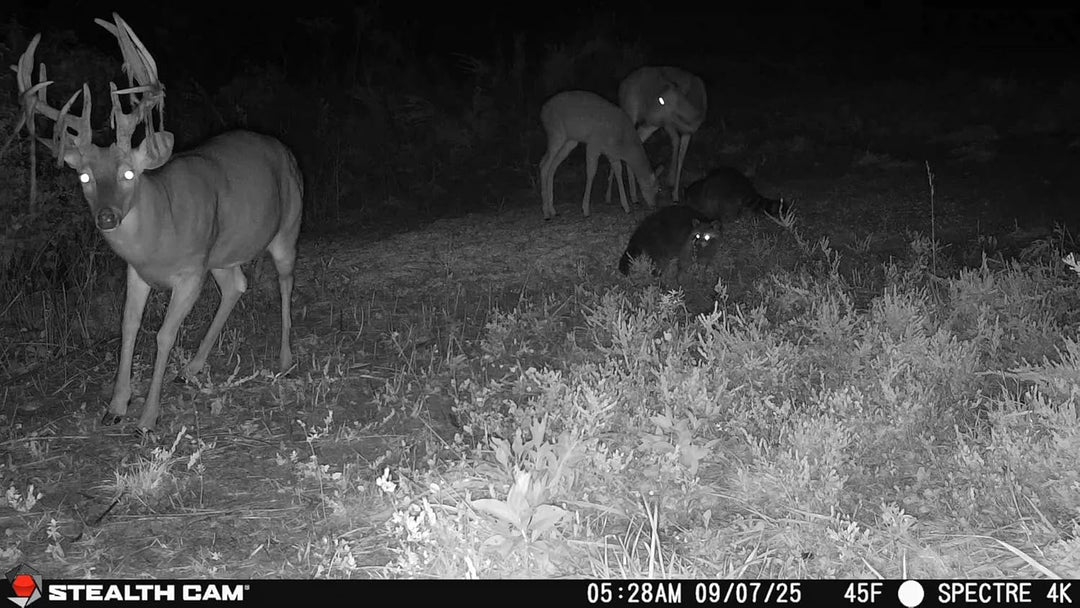 Stealth Cam Spectre 4K Dual-Core Cellular Trail Camera