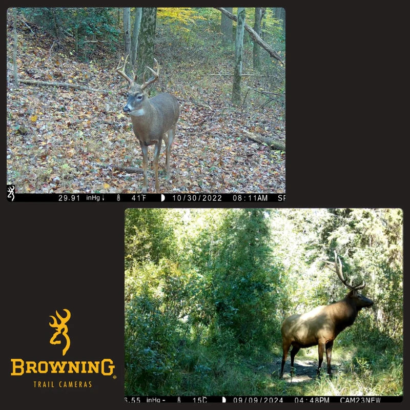 Browning Spec Ops Elite HP5 Trail Camera