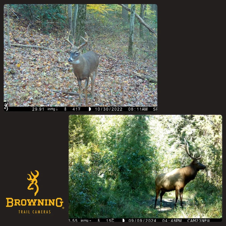 Browning Spec Ops Elite HP5 Trail Camera