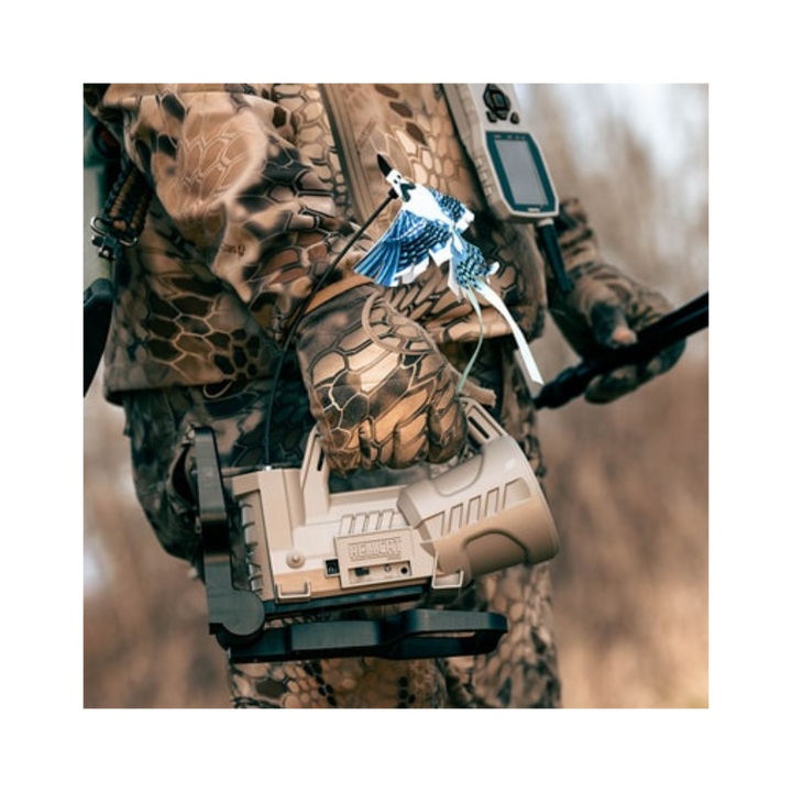 FOXPRO-HandleStand