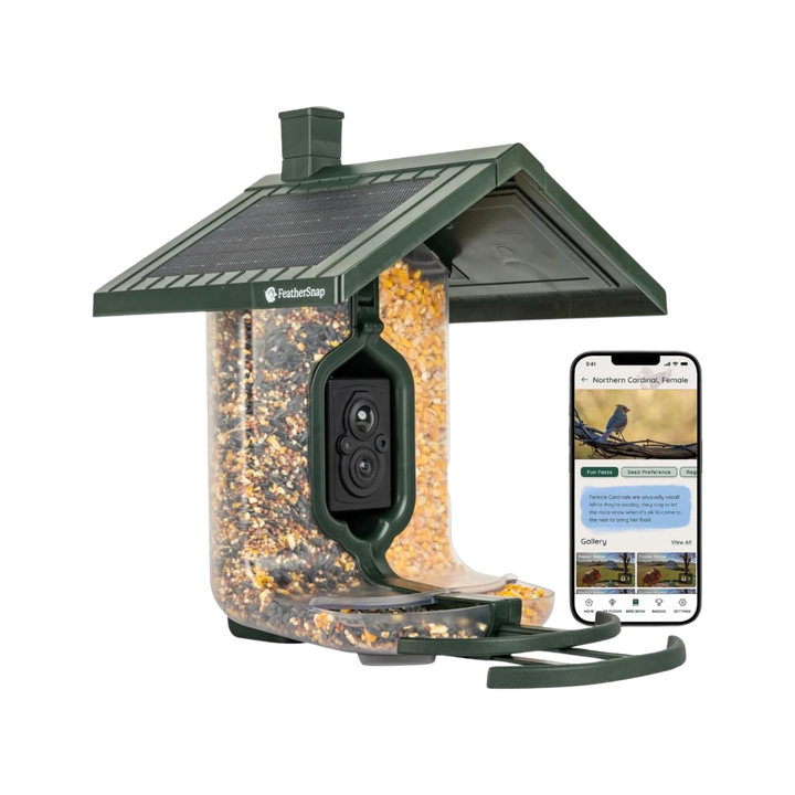 FeatherSnap Scout Wi-Fi Solar Powered Smart Bird Feeder