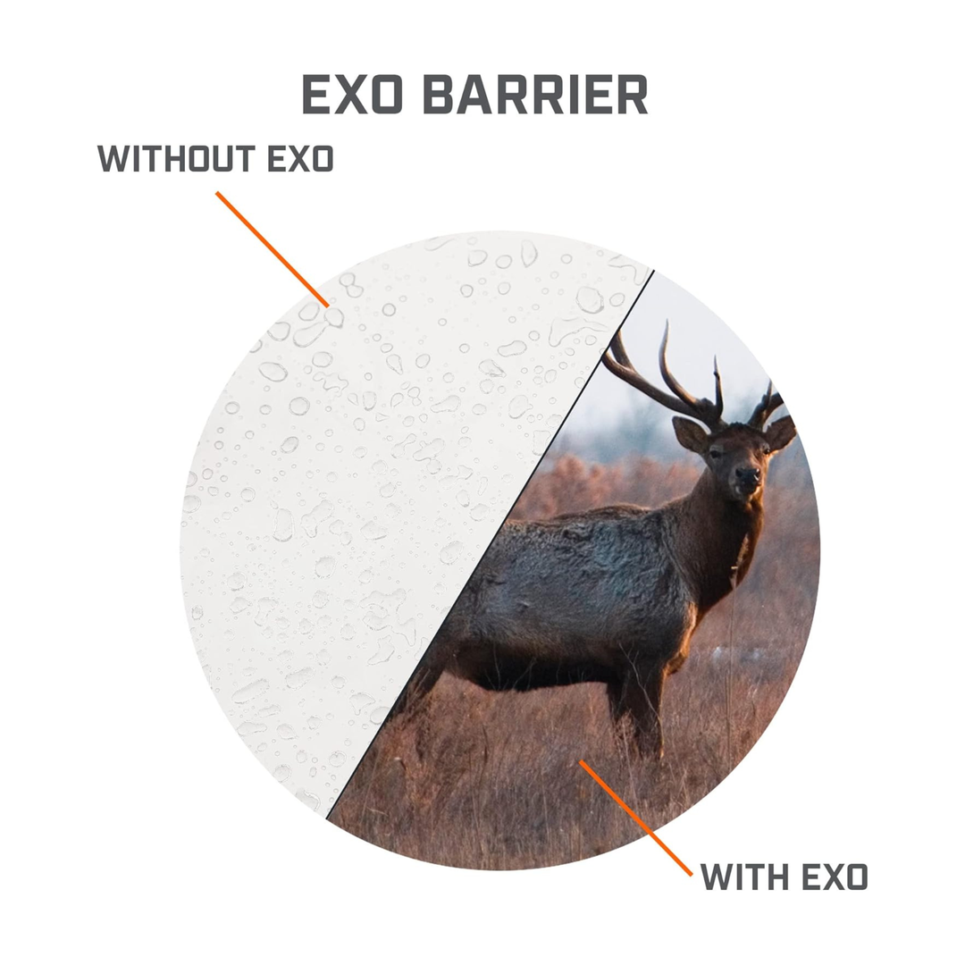 Bushnell Nitro 10x36mm Roof Prism Binoculars