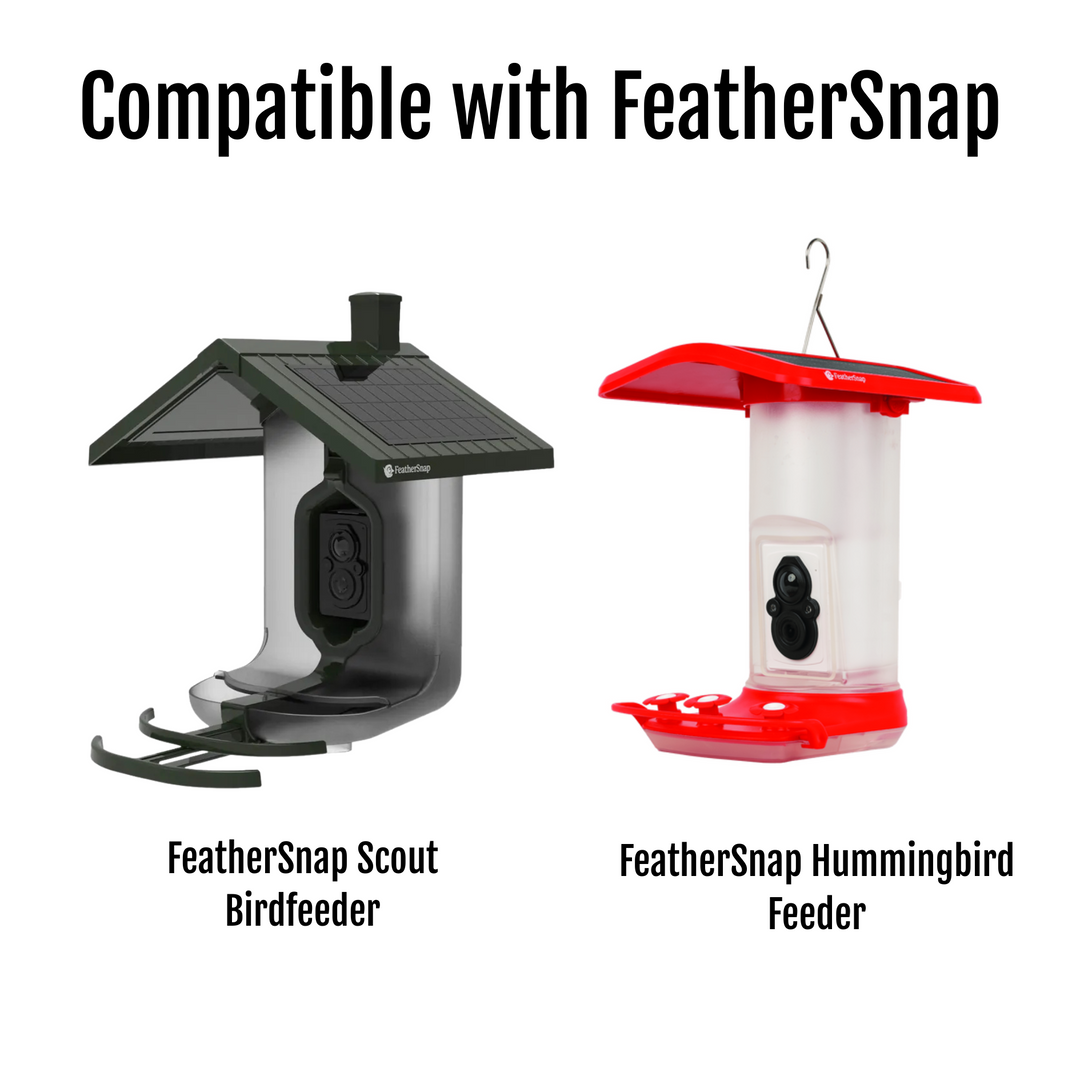 Field Boys Bird Feeder Pole Stand Compatible for Feathersnap Smart Birdfeeder