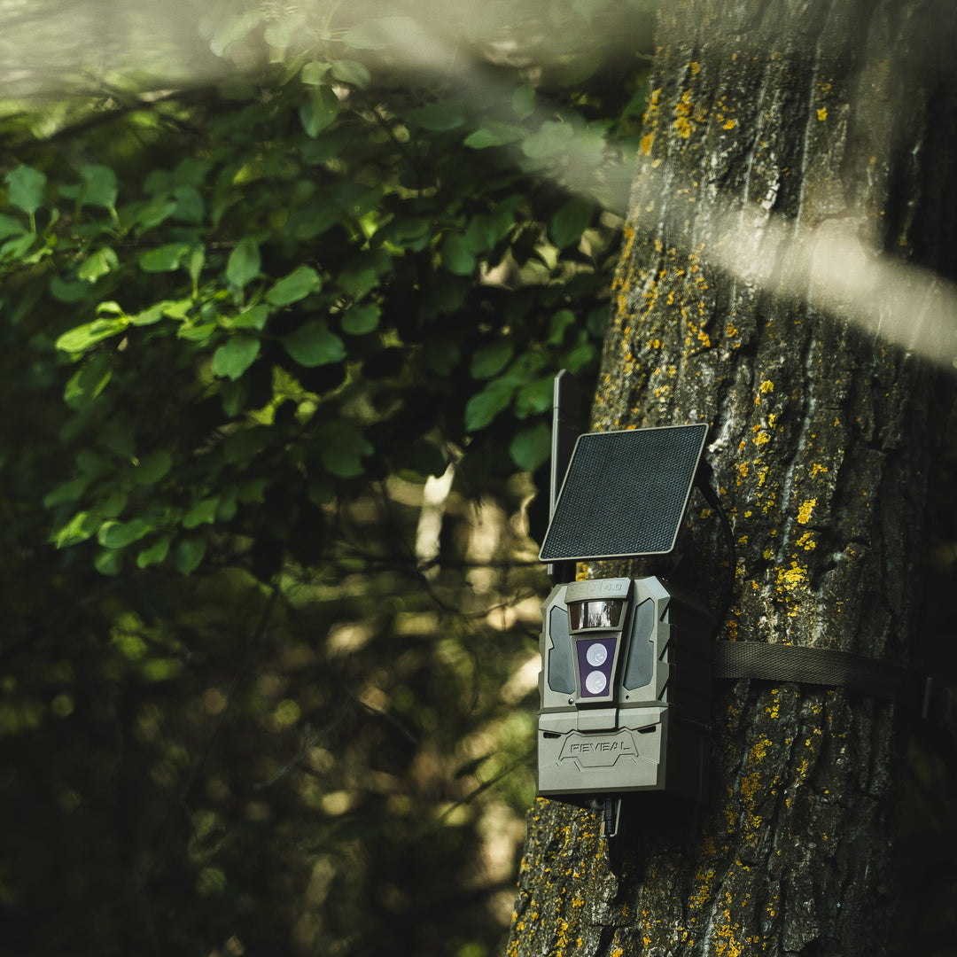 Tactacam REVEAL Pro 4.0 Solar Cellular Trail Camera with Solar Panel and FlexPack R5 Battery