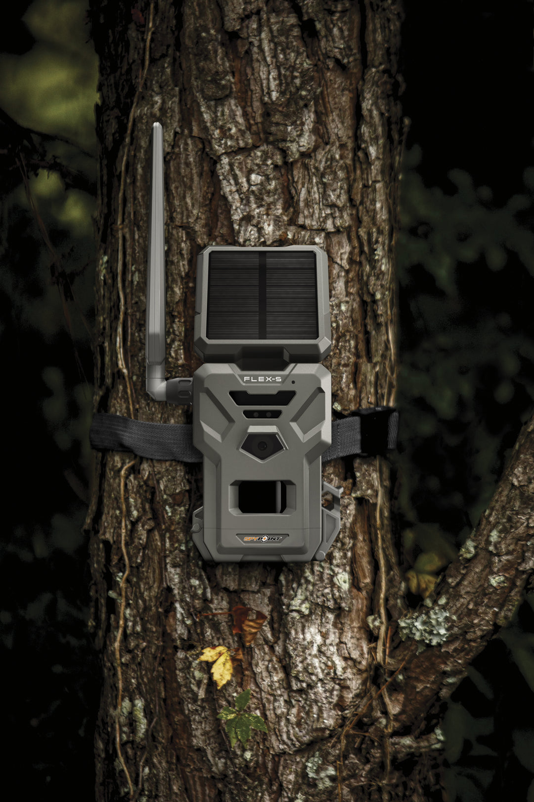 BUY 4 & SAVE! SPYPOINT Flex-S Solar Cellular Trail Camera