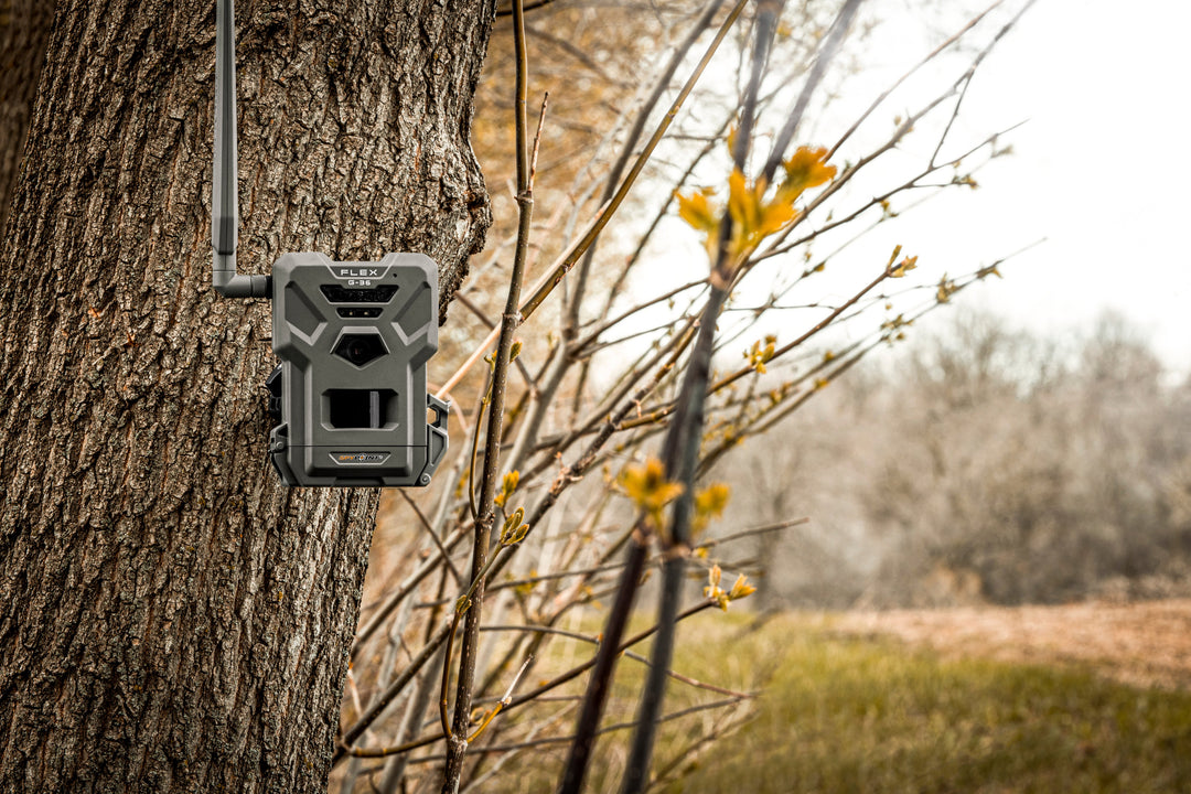 SPYPOINT FLEX G-36 Premium Bundle Savings!! – Freedom USA Sales