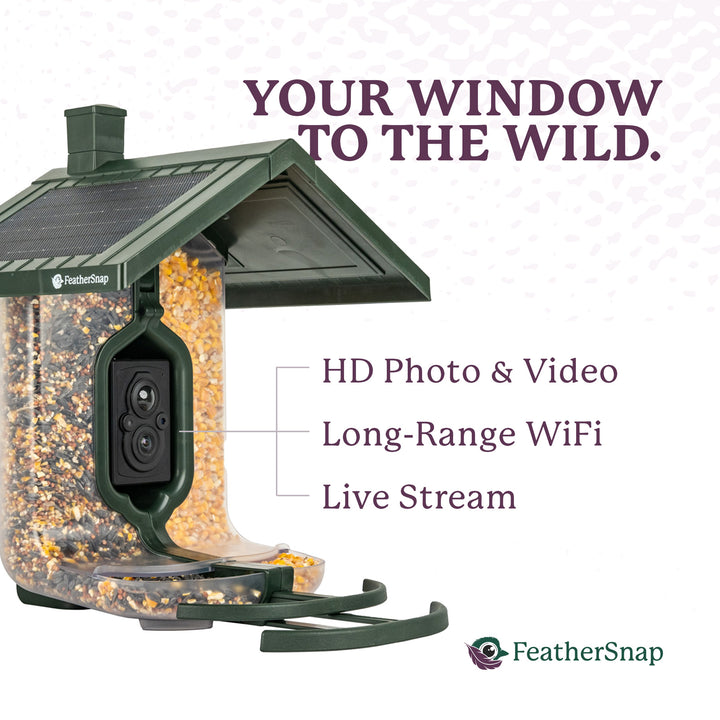 FeatherSnap Smart Birdfeeder Bundle with Solar Power (Bird Feeder, Pole, Bird Feed, SD Card & Cleaning Cloth Bundle)