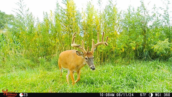 Wildgame Innovations Orbit 360 Degree Cellular Trail Camera